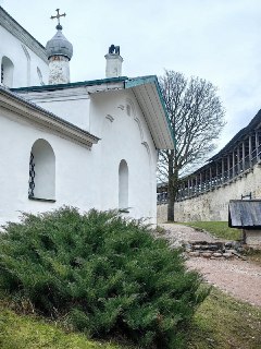 Иллюстрация 6