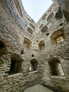 Иллюстрация 7