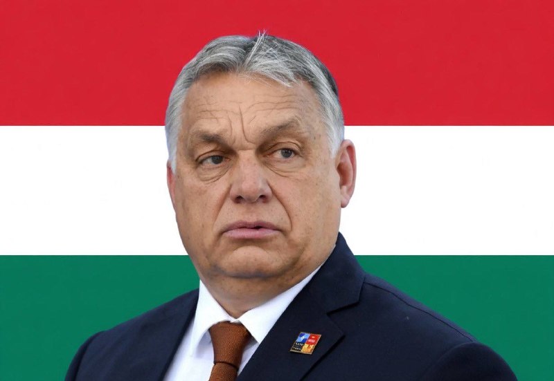 Будапешт обвиняет Facebook в поддержке оппозиции Орбана