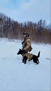 Краткая инструкция по правильному началу перемирного дня