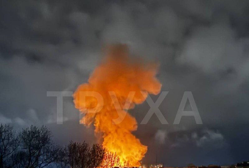 Иллюстрация 4