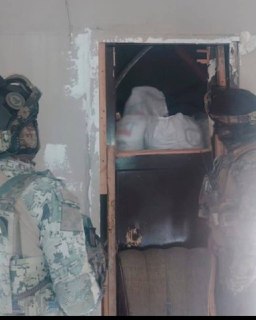 Иллюстрация 3