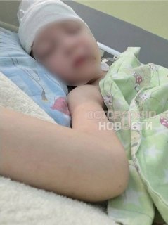 Иллюстрация 2