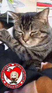 Доброе утро, Мракоборцы: Жорик о погоде и шутки про снег