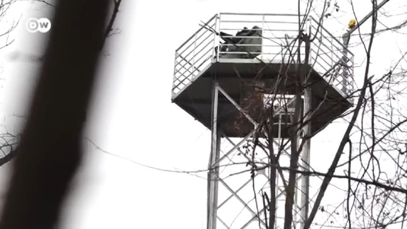 Иллюстрация 2