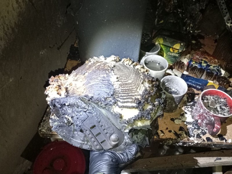 Иллюстрация 7