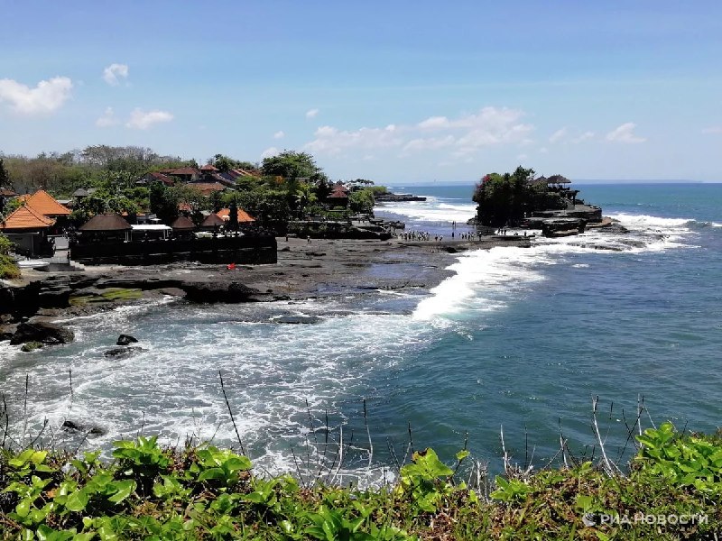 Риски для туристов на Бали растут из-за изменения поведения переносчиков заболеваний