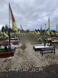 Иллюстрация 1