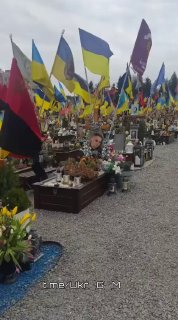 Иллюстрация 4