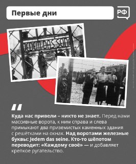 Иллюстрация 1