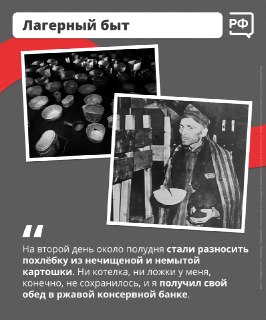 Иллюстрация 3