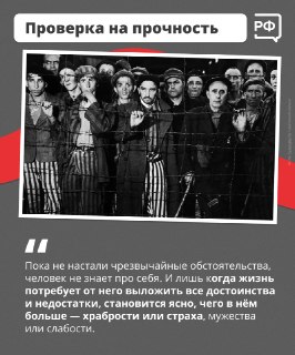 Иллюстрация 4