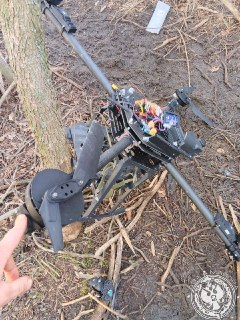 Иллюстрация 9