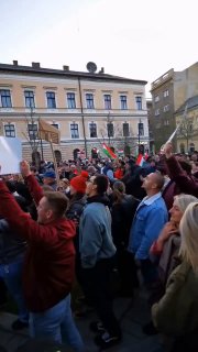 Иллюстрация 1