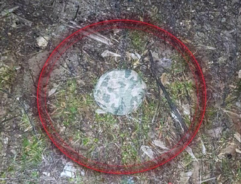 Противопехотная мина «Пряник» с беспилотников