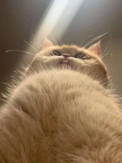 Иллюстрация 2