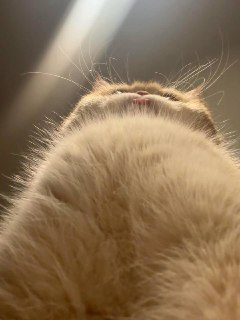 Иллюстрация 4