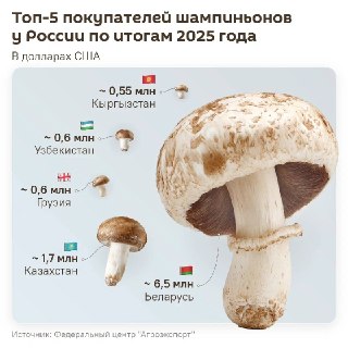 РФ обновила рекорд по экспорту шампиньонов в 2025 году