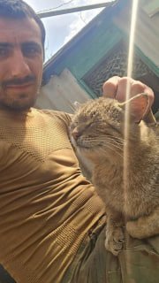 Истории животных в зоне СВО: от французского дога до кота в подвале