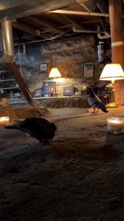 Иллюстрация 2