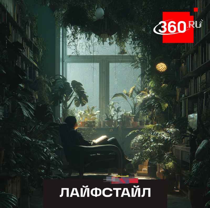 Как комнатные растения снижают стресс и улучшают настроение