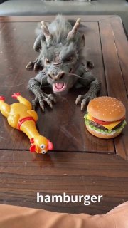 VFX-художник показал, как выглядел бы домашний дракон, и это стало хитом в соцсетях