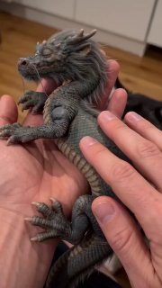 Иллюстрация 4