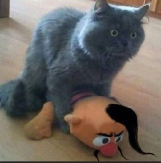 Фейк о встрече Джонсона и Зеленского и призывы к осуждению СВО