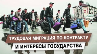 Депутат Гусев предложил ввести контрактную систему для трудовой миграции