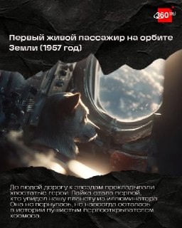 Иллюстрация 5