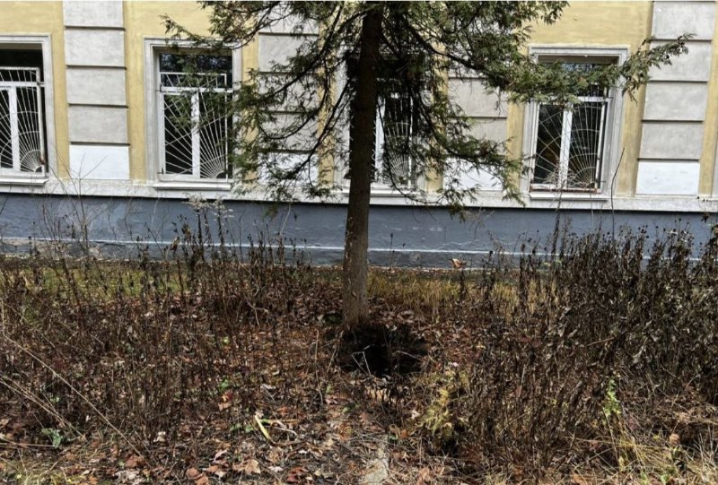 Иллюстрация 2