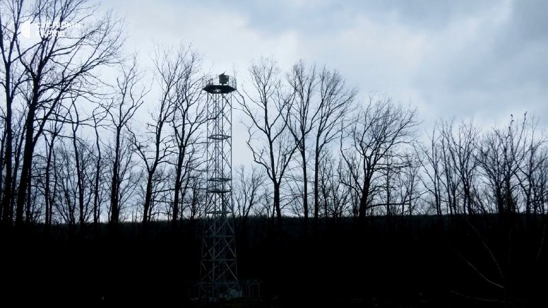 Иллюстрация 3