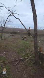 Уничтожение украинского дрона-камикадзе кинетическим дроном-перехватчиком «Ёлка»