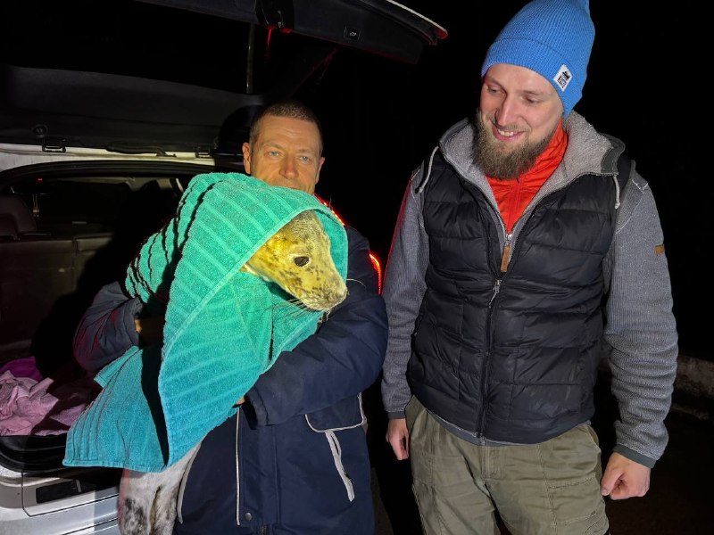 Иллюстрация 3