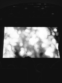 Иллюстрация 7