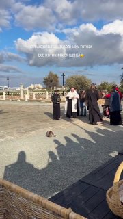 Кот стал прихожанином храма в Севастополе и первым получил благословение