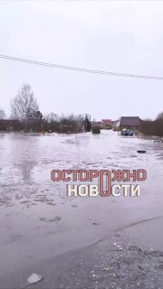 Иллюстрация 5