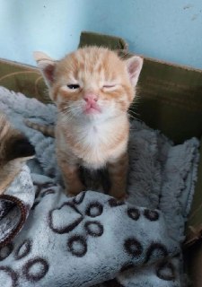 В России приняли ГОСТ на оценку сонливости водителя с помощью ИИ