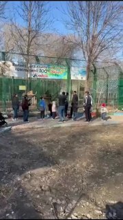 Посетители зоопарка в Казахстане бросали камни во львов