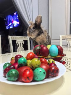 Иллюстрация 3