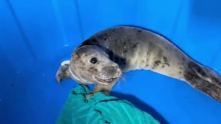 Иллюстрация 3