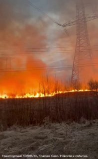 Трава горит возле Гатчинской ЛЭП