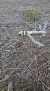 Обзор американского дрона-камикадзе Switchblade 600: характеристики и применение в зоне СВО