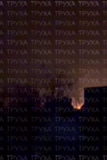 Иллюстрация 2