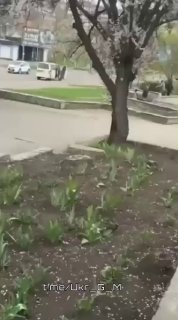 Иллюстрация 5