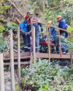 Иллюстрация 2