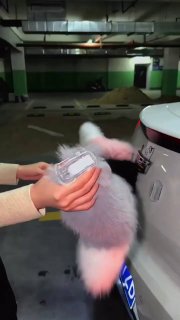 Машины с ХВОСТАМИ захватили дороги в Китае