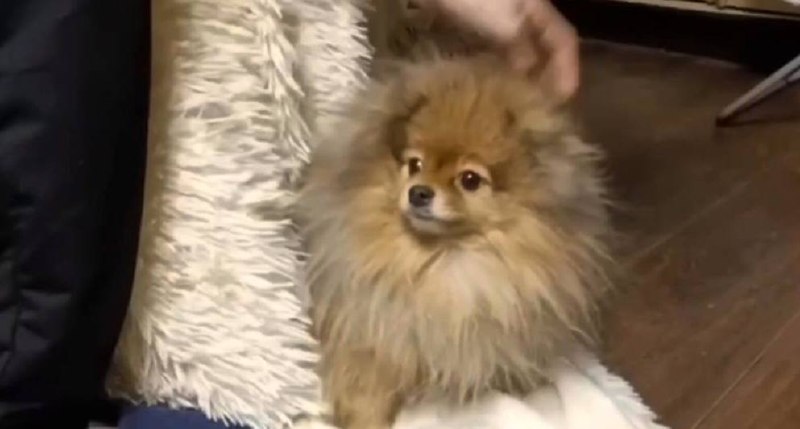 Иллюстрация 1