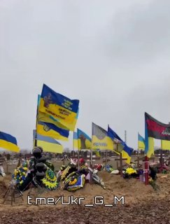 Иллюстрация 2