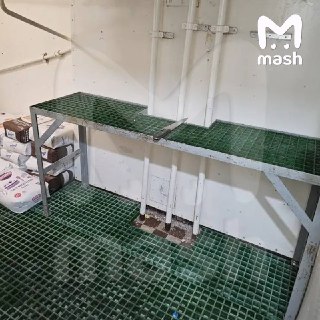 Иллюстрация 7